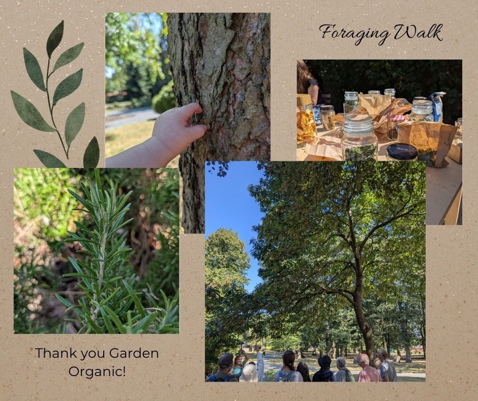 Foraging Walk - Amended