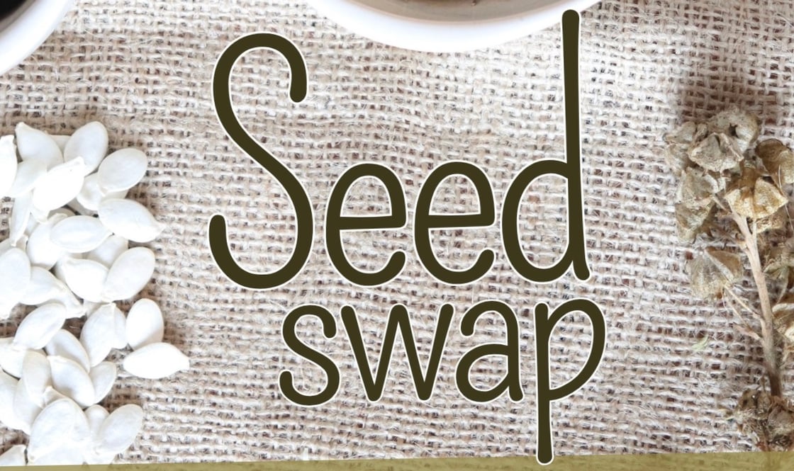 Image 09-02-2026 at 10.54