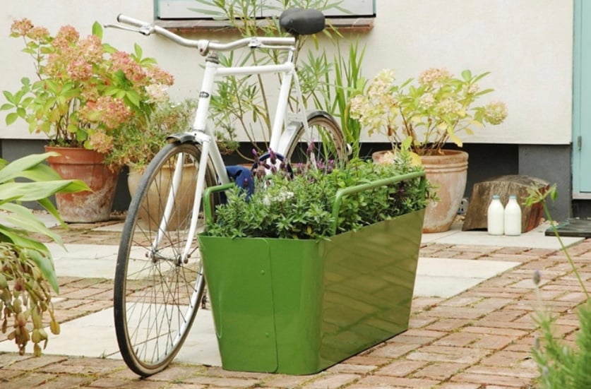 Image 12-01-2026 at 12.44