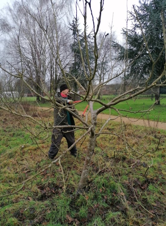 Image 23-12-2025 at 12.41