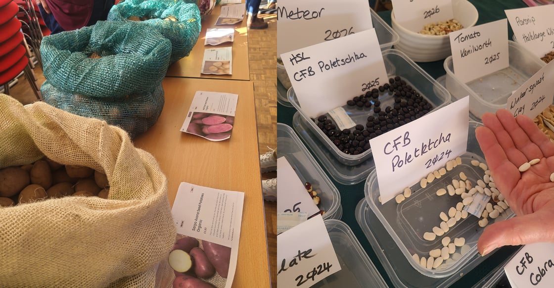 Seed Swap
