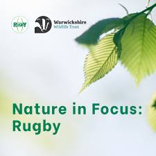 images-3